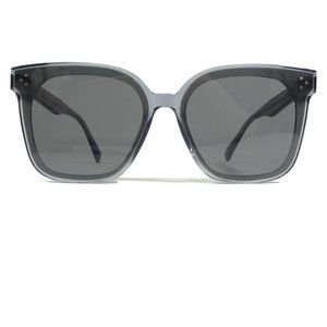 GENTLE MONSTER Sunglasses HER G1 Clear Gray Oversized Thick Rim with Gray Lenses